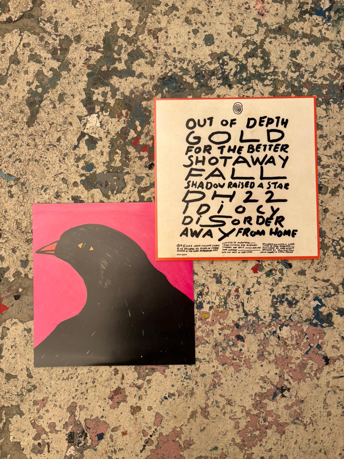 Vinyl - Fading Image
